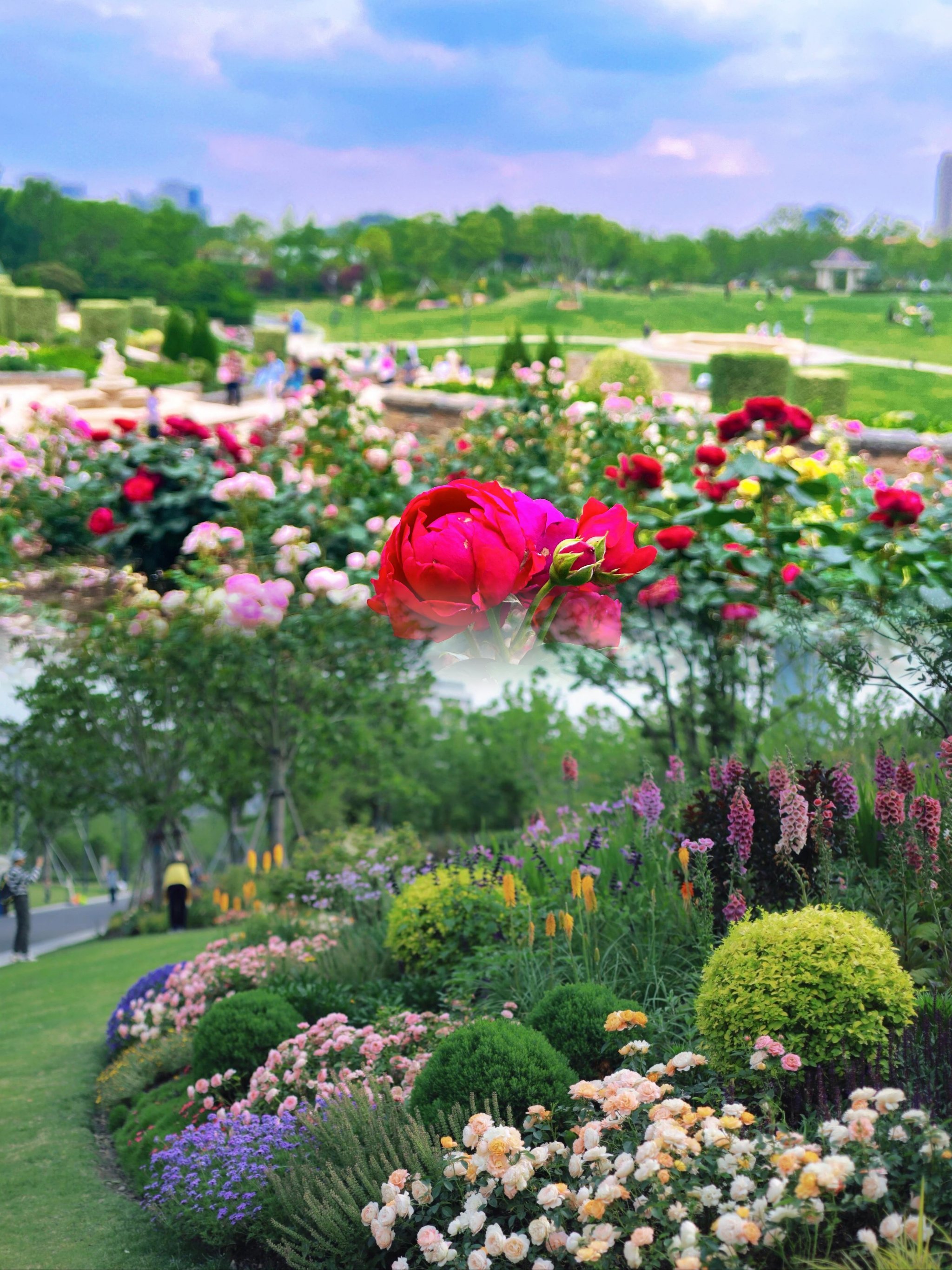 🌸世博文化公园花海大爆发!14站赏花点