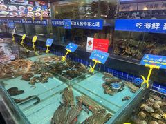 -宝轩渔府·老字号海鲜·正宗津菜(水上店)