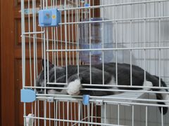 -明月东一酒店·菲斯特自助餐厅