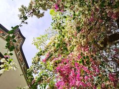 -深圳国际园林花卉博览园