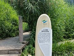 -成都市活水公园