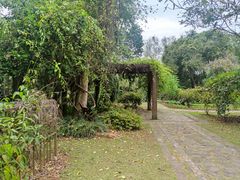 -中国科学院西双版纳热带植物园