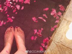 -北京美神宫艺术主题温泉酒店
