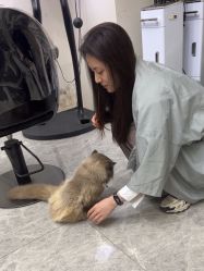 -米娜造型