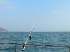 -小猫钓鱼海钓俱乐部(椰梦长廊店)