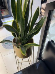 -LJOY丽锦造型·烫发染发