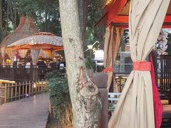 -二荆条·蜀鲜汇城市森林火锅