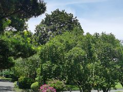 -浙江西子宾馆·瑶园咖啡厅