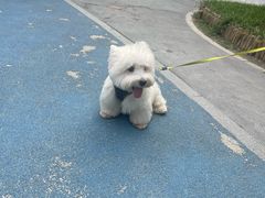 -中粮·祥云小镇