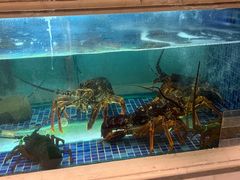 -顺峰(农展馆店)