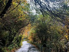 -叠溪松坪沟景区