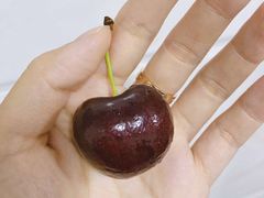 -上海龙吴水胜海发市场