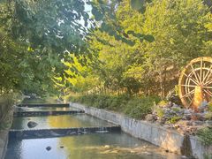 -广州白江湖森林公园