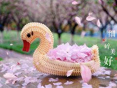 -高东镇樱花园