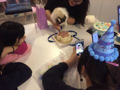 -三花喵·撸猫购宠·宠物生活馆(虹桥南丰城店)
