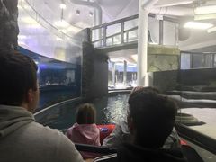 -悉尼海洋生物水族馆