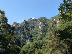 -王顺山国家森林公园