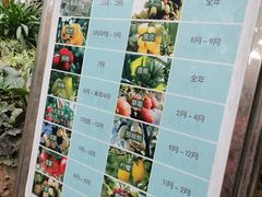 -呀路古热带植物园