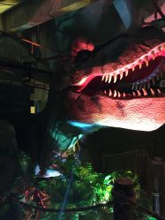 -恐龙探索乐园(磁器口店)