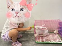 -岳合轩老北京涮肉