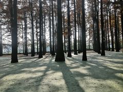 -渌洋湖湿地公园