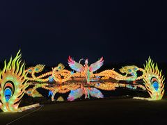 -武汉园博园(武汉自然博物馆)
