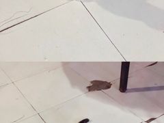 -特种渔场