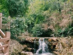 -南海湾森林生态园
