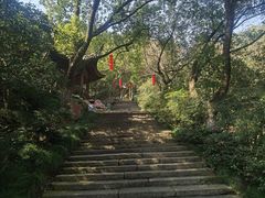 -宁波市保国寺古建筑博物馆