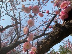 -狼山风景名胜区