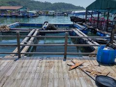 -海上驿站渔家菜馆