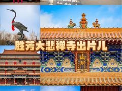 -大悲禅寺