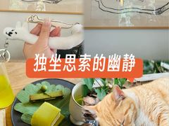 -知亘茶食