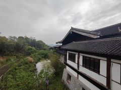 -大唐贡茶院