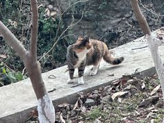 -南京市江宁方山