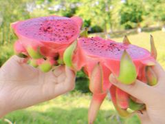 -两河城市森林公园