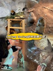 -Zoolung Zoolung动物主题公园(海信广场店)