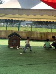 -萌宠亲子动物乐园(槐房万达店)