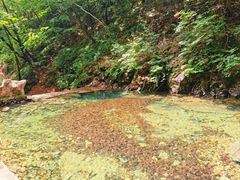 -本溪汤沟绿石谷森林公园