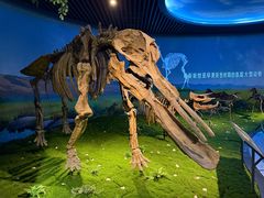 -安徽省地质博物馆