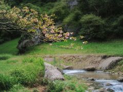 -宜兴龙背山森林公园
