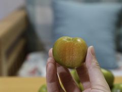 -歎雪糕低糖低脂Gelato冰淇淋