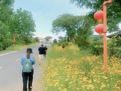 -汤山温泉房车营地 茶温泉