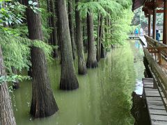 -采石矶景区