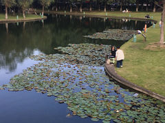 -院士公园