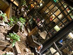 -D STAR COFFEE帝星咖啡