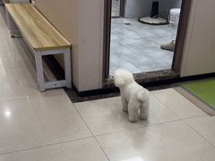 -瑞鹏宠物医院(大运分院)