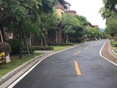 -美的鹭湖森林度假区