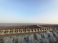 -南汇嘴观海公园