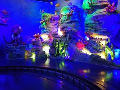 -青岛嘉年华主题乐园